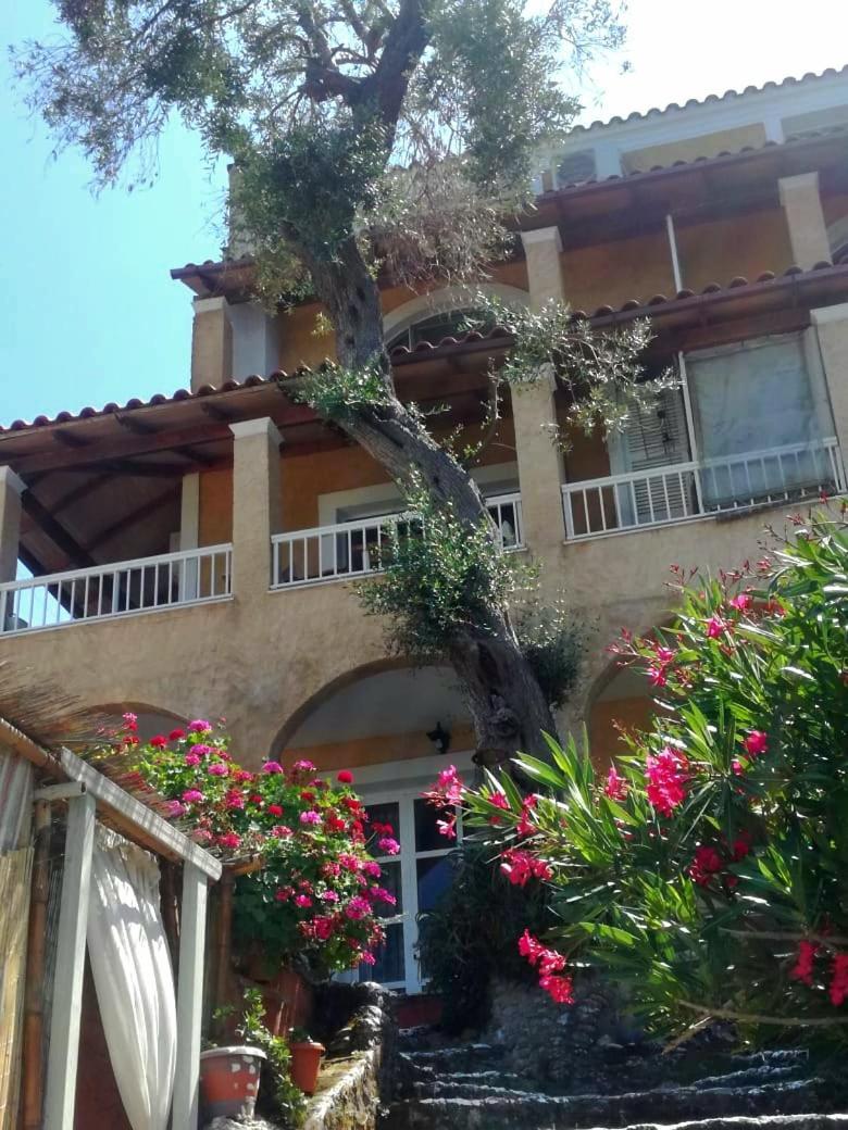 Kohyli Beachfront House Agia Pelagia Chlomou Exterior photo